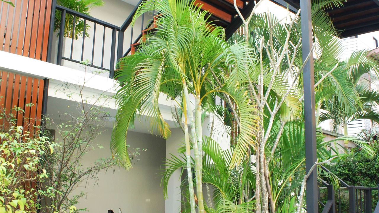 Photo of Outdoor in Hua Hin