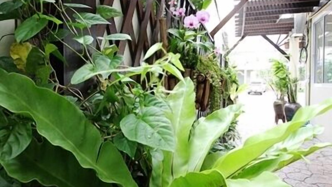 Photo of Outdoor in Hua Hin