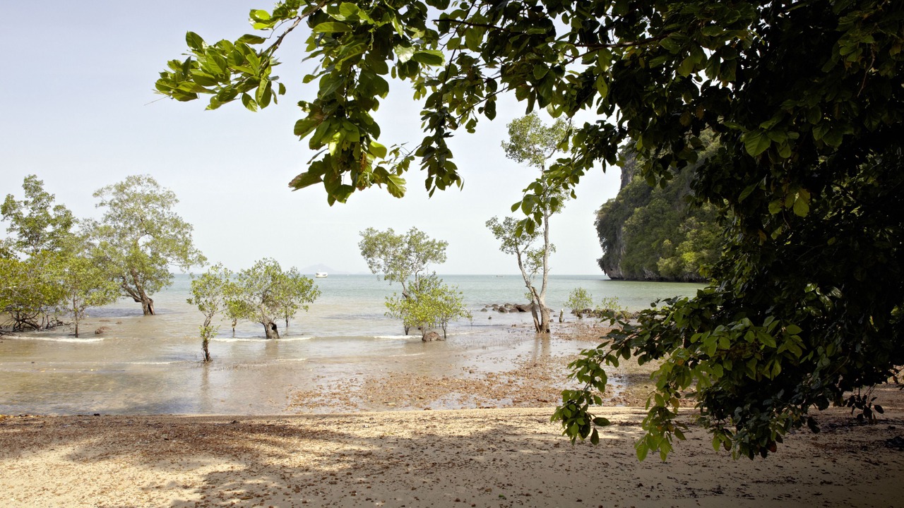 Photo of Outdoor in Krabi