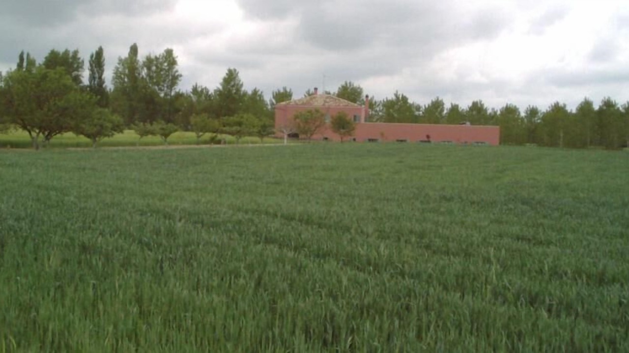 Photo of Outdoor in Olmillos de Sasamon