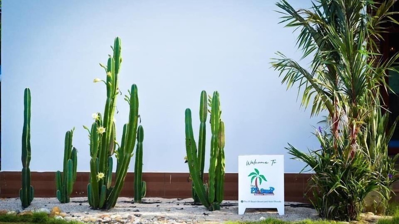 Photo of Outdoor in Tha Sala