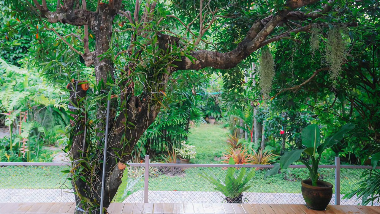 Photo of Others in Ranong