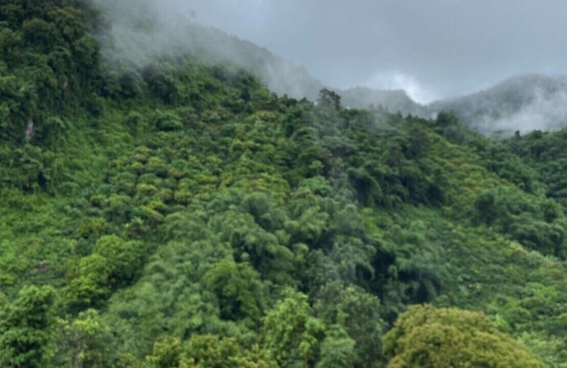 Photo of Outdoor in Mae Sai