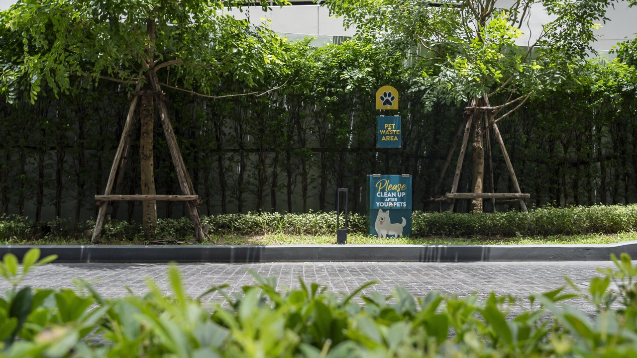Photo of Others in Khlong Tan