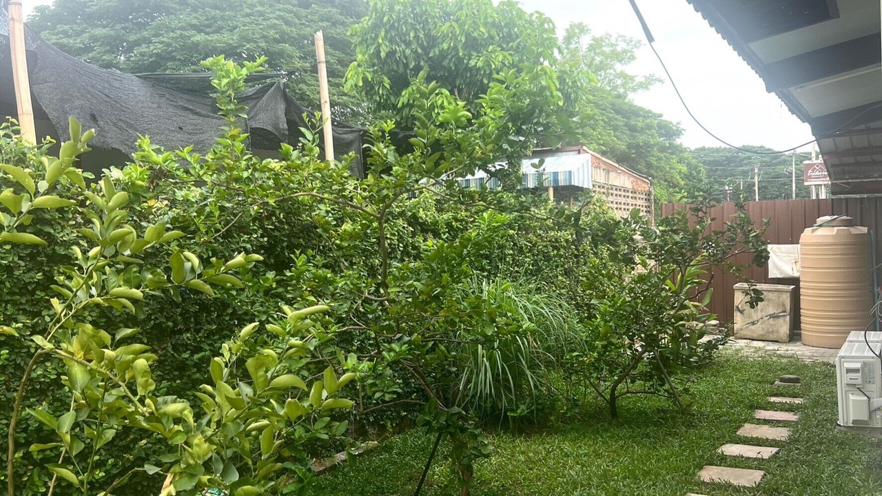 Photo of Outdoor in Wat Ket