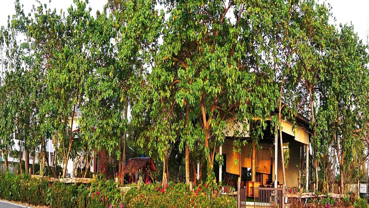 Photo of Outdoor in Sam Roi Yot