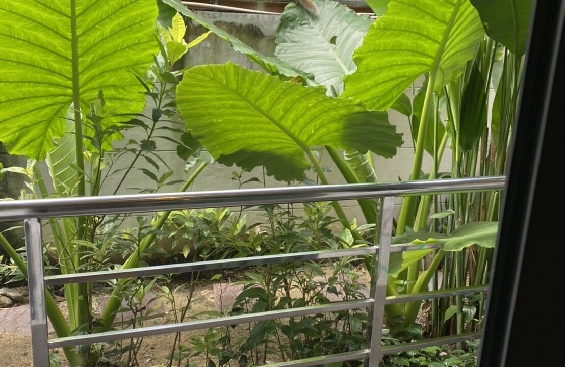 Photo of Patio Balcony in Sam Phran