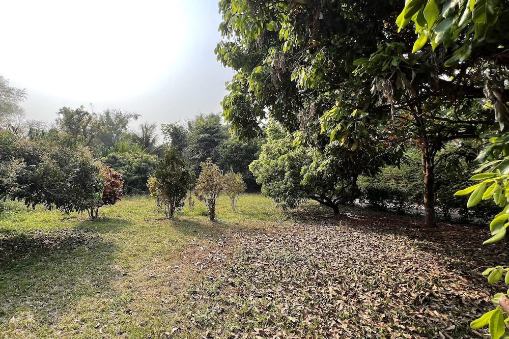 Photo of Others in Luang Nuea