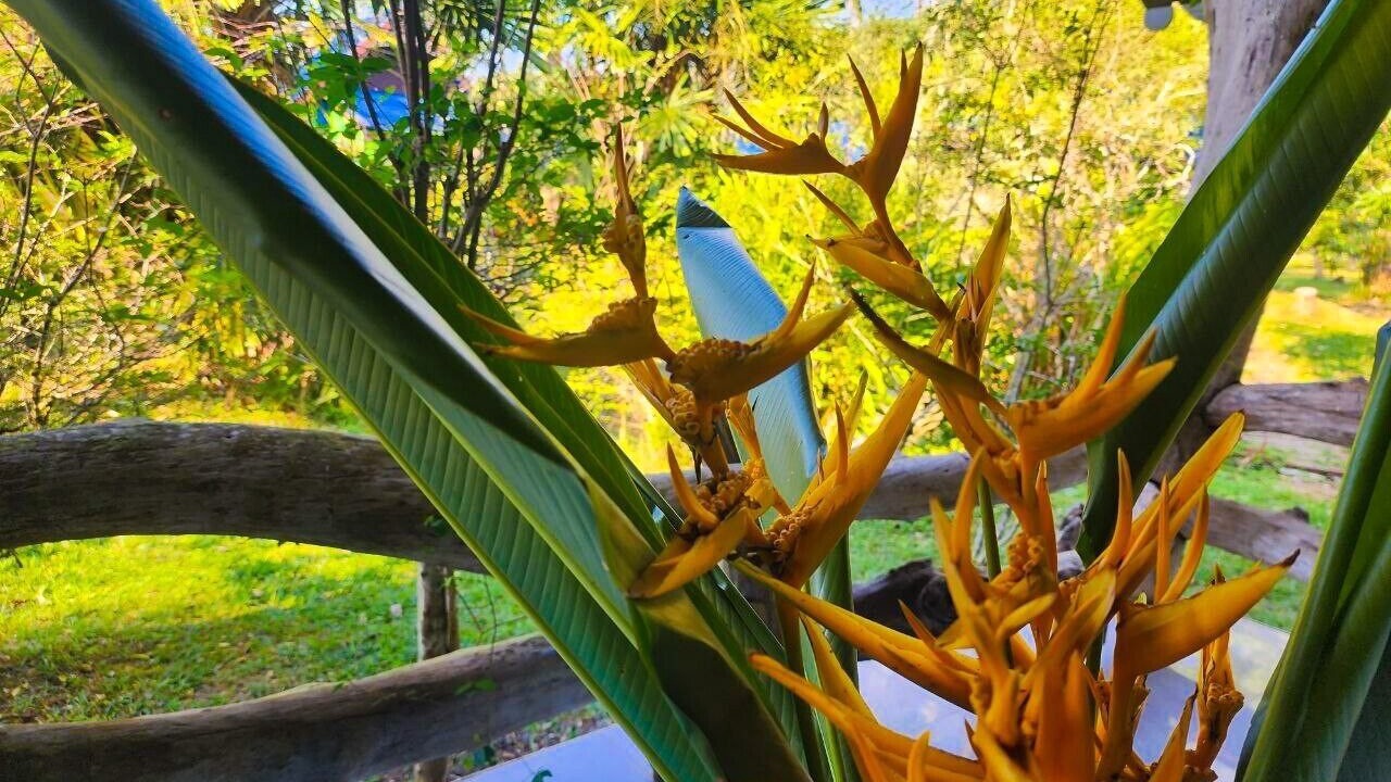 Photo of Bedroom in Koh Chang Tai