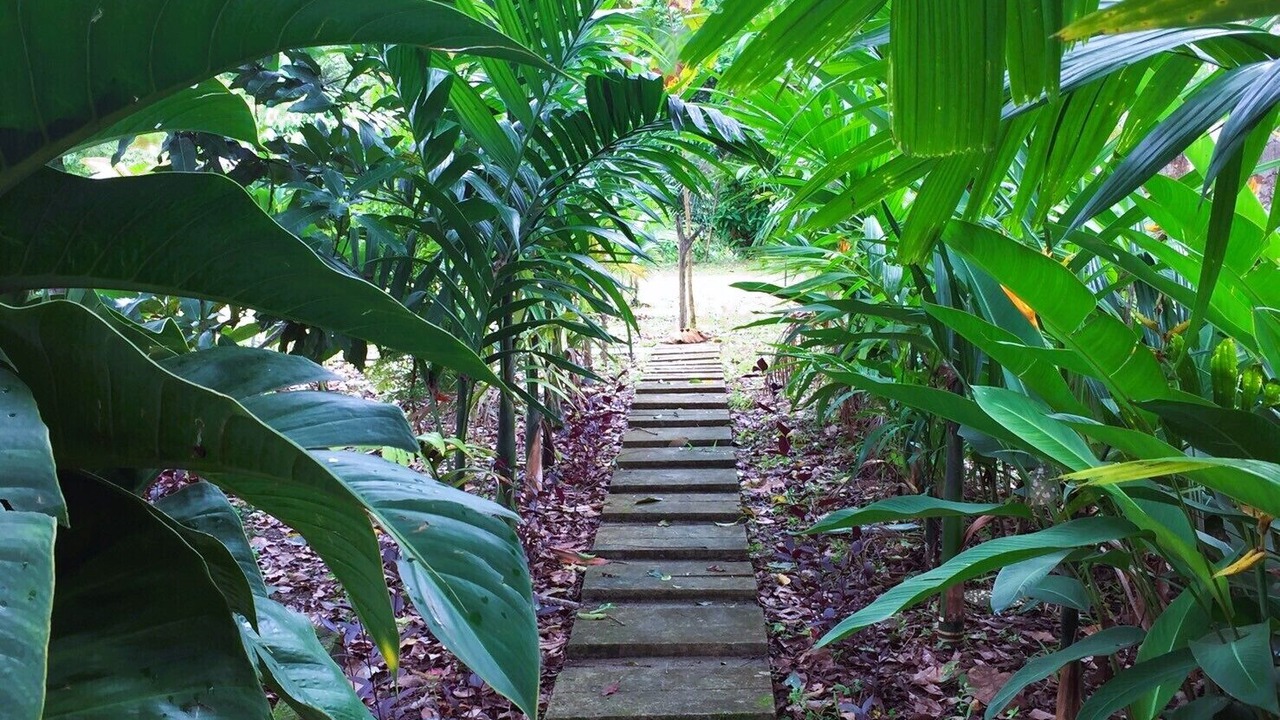 Photo of Outdoor in Ban Wang Hom