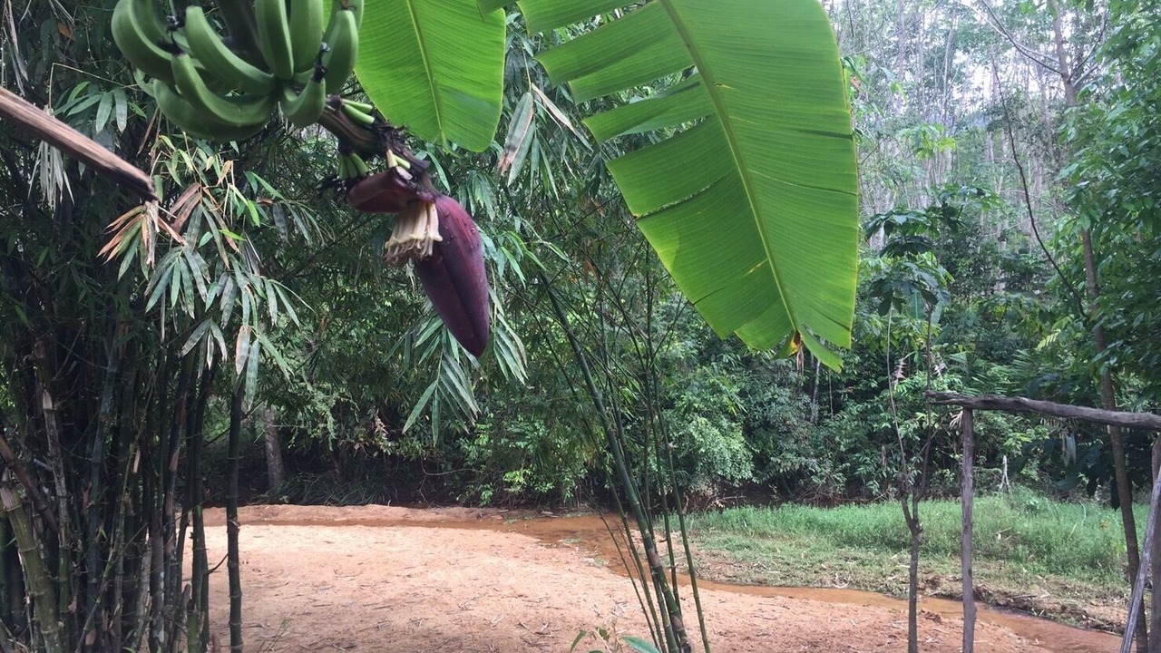 Photo of Outdoor in Ban Wang Hom