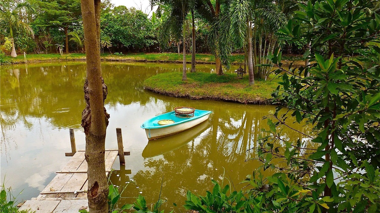 Photo of Outdoor in Lat Krabang