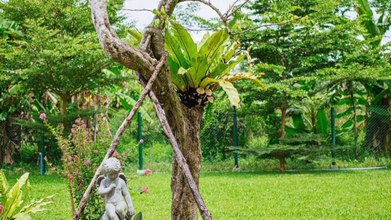 Photo of Outdoor in Nakhon Si Thammarat