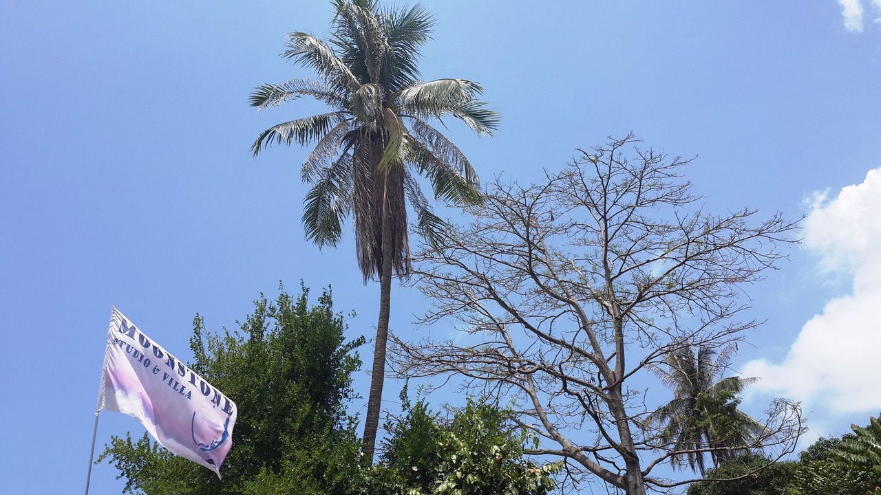 Photo of Outdoor in Haad Rin