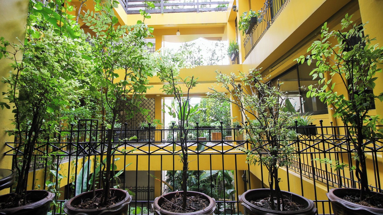 Photo of Outdoor in Phra Nakhon