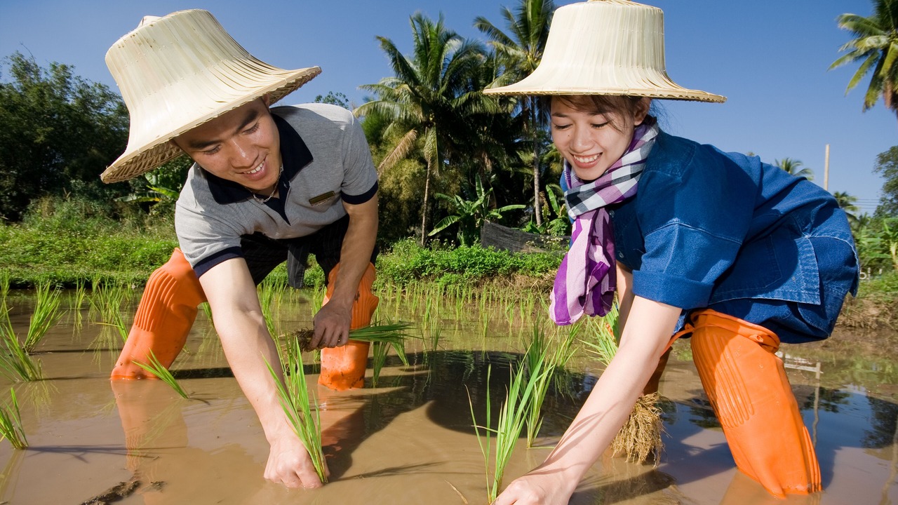 Photo of Others in Ban Pong
