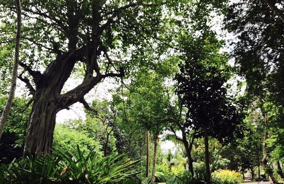 Photo of Outdoor in Bang Khonthi