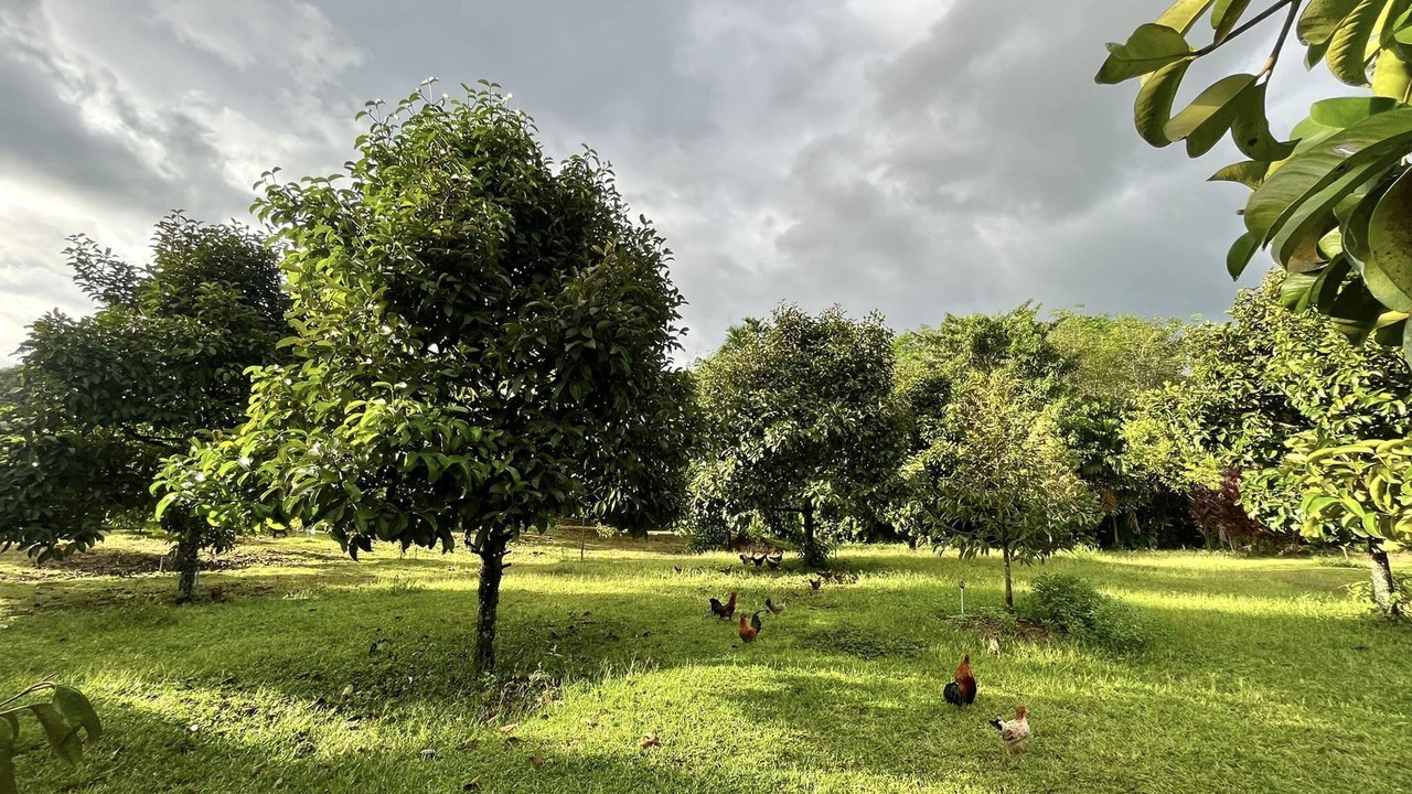 Photo of Outdoor in Phrom Khiri
