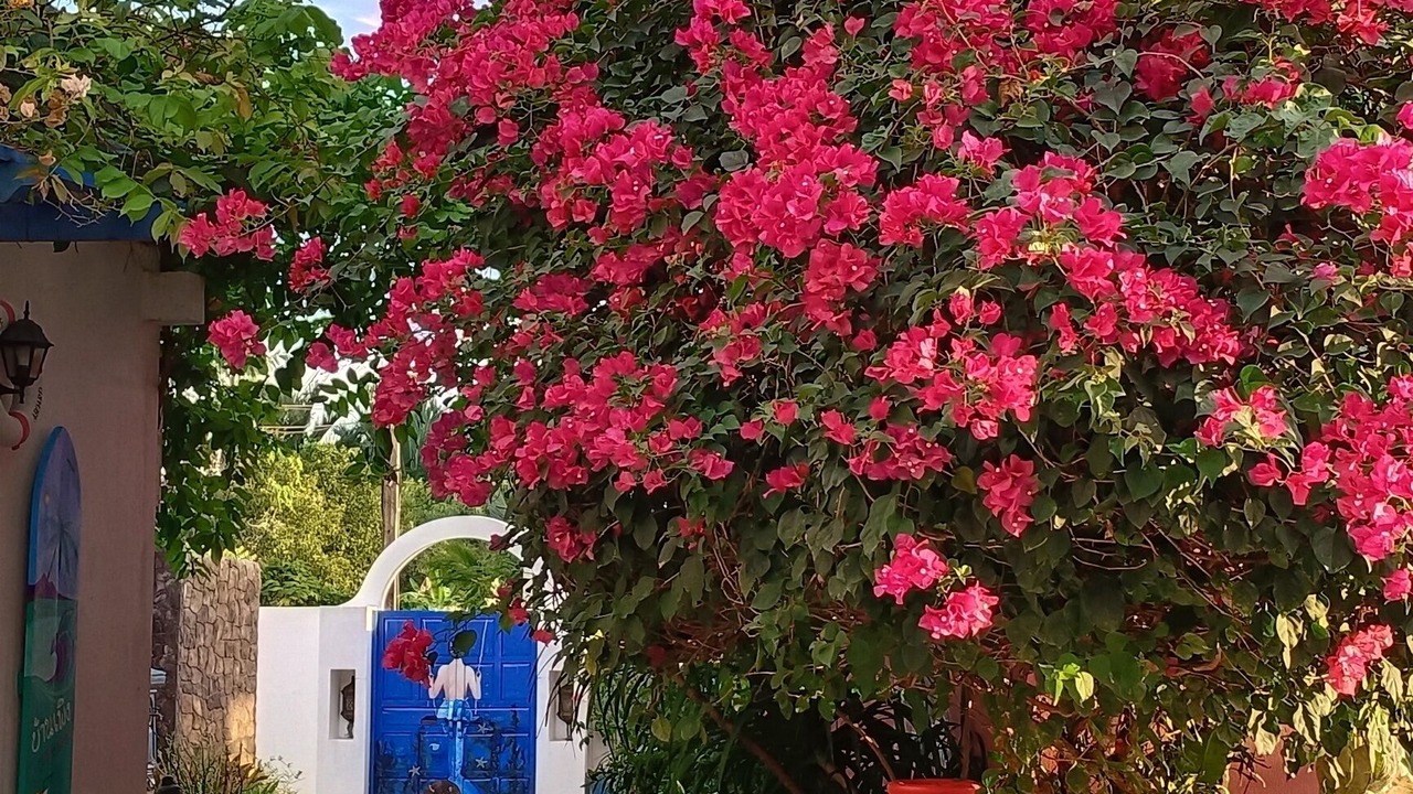 Photo of Outdoor in Ban Wang Hom