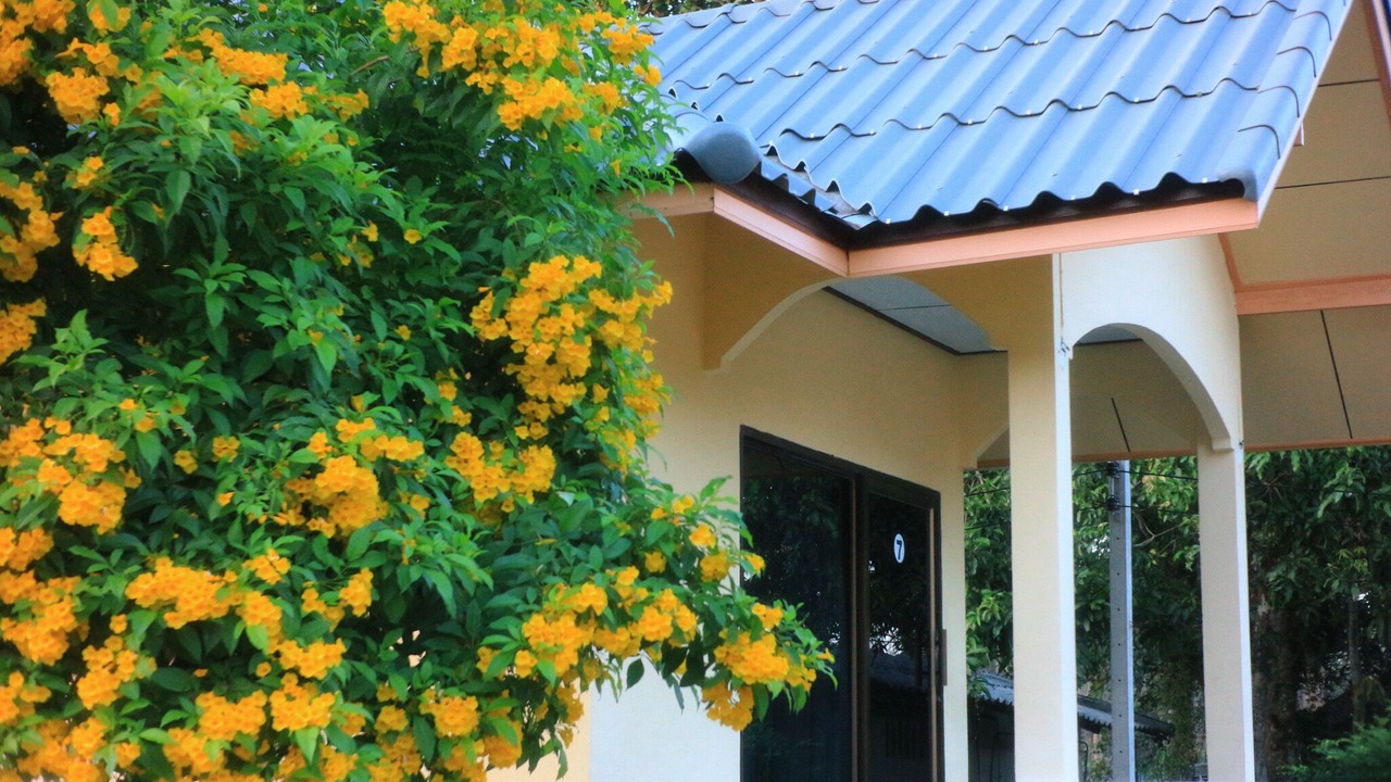 Photo of Outdoor in Saphli