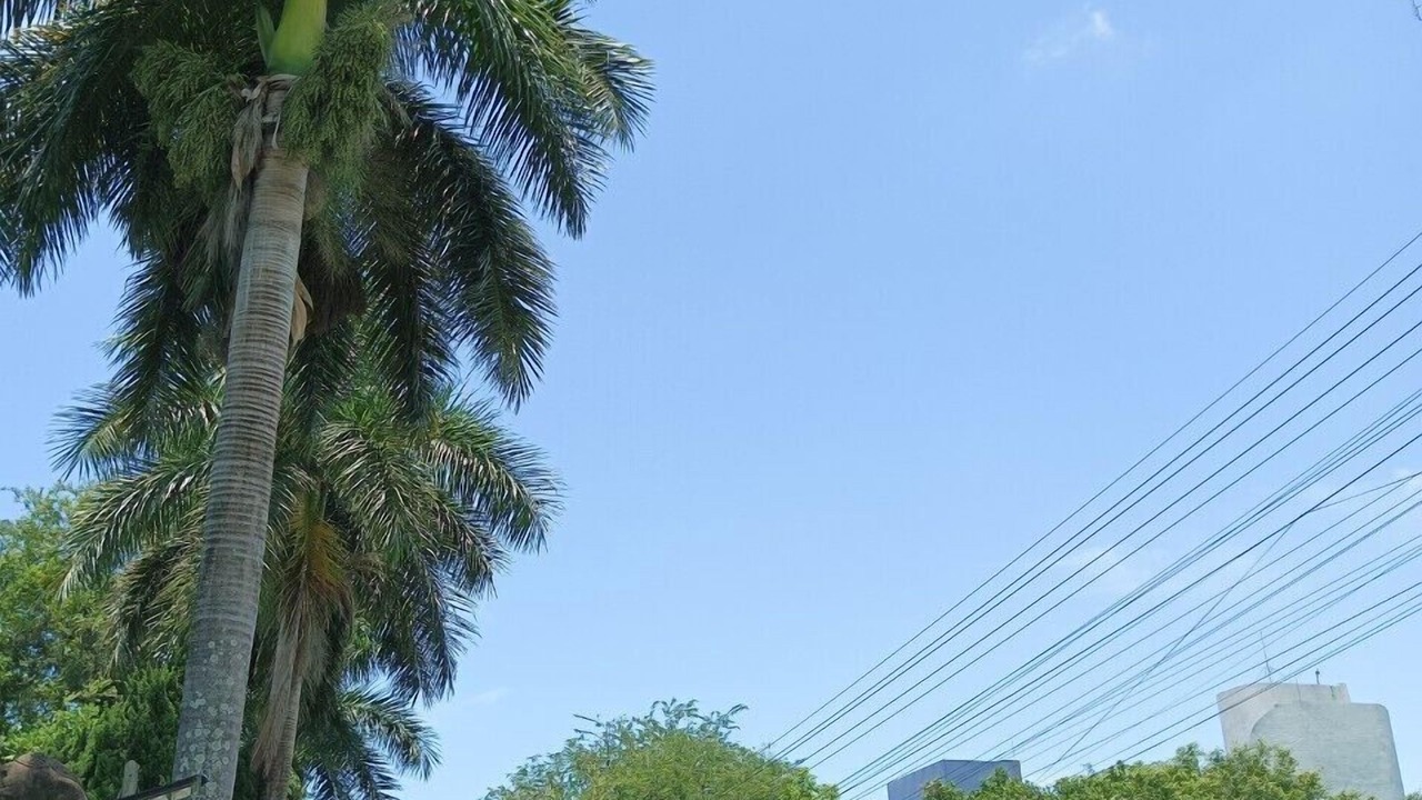 Photo of Outdoor in Mae Sai