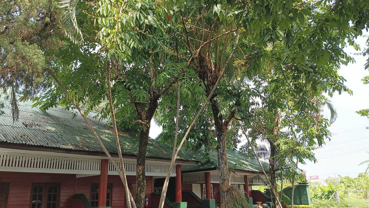 Photo of Outdoor in Mae Sai