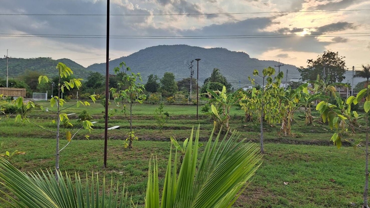 Photo of Others in Sam Phraya