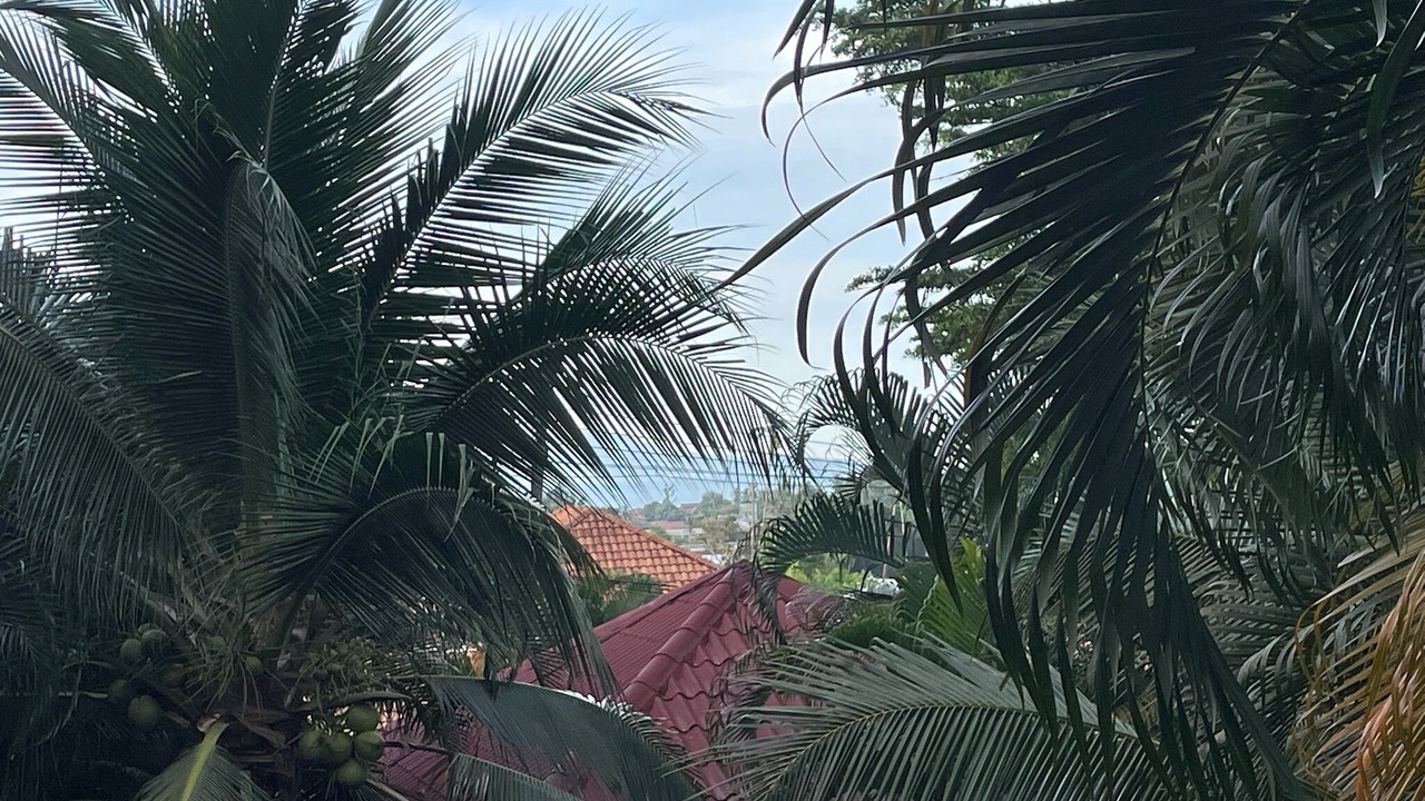 Photo of Others in Bophut Hills