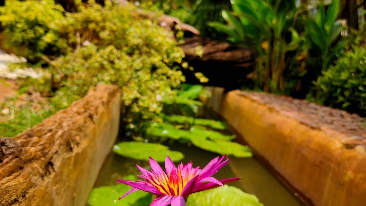 Photo of Outdoor in Saraphi