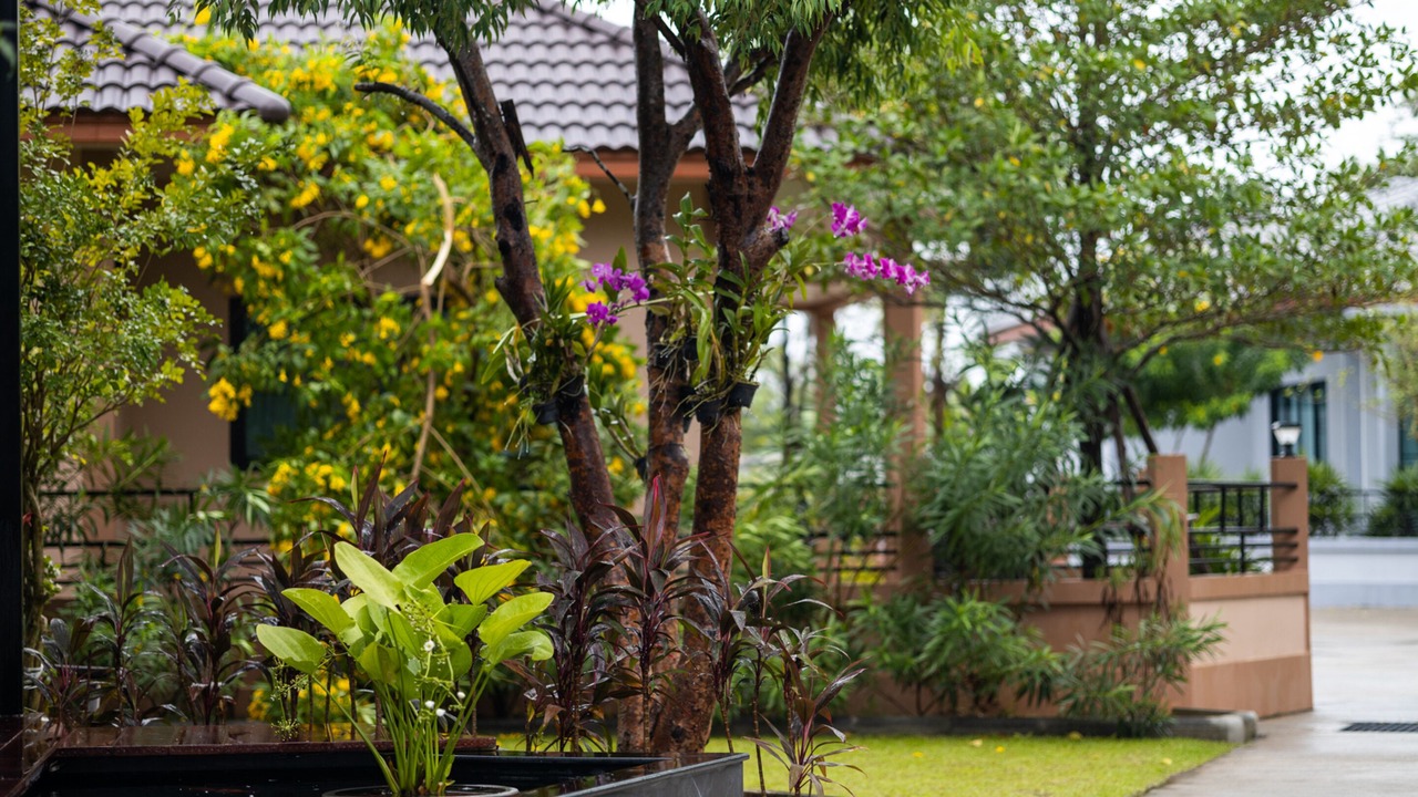 Photo of Outdoor in Huai Yai