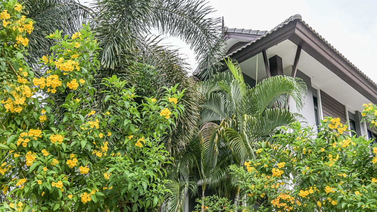 Photo of Outdoor in Khong Chiam