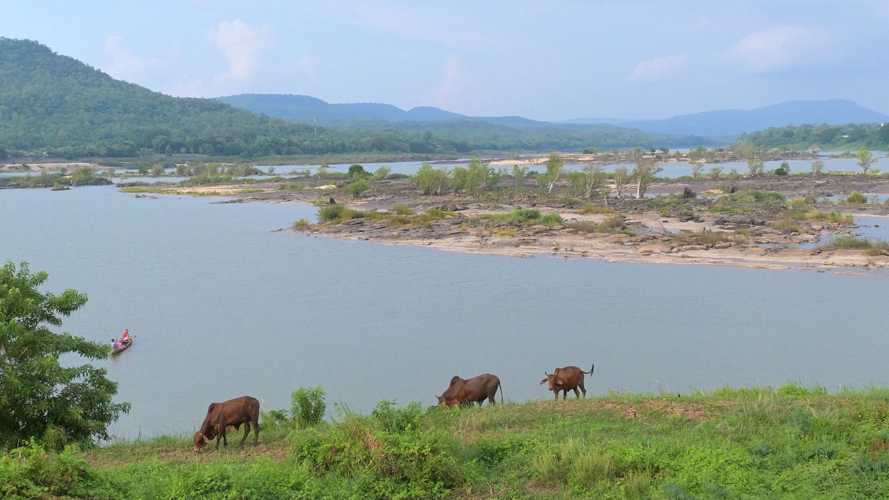 Photo of Others in Khong Chiam