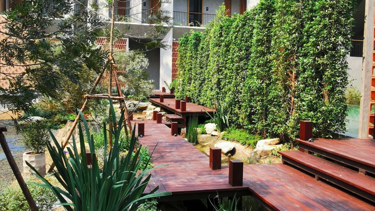 Photo of Outdoor in Chang Phueak