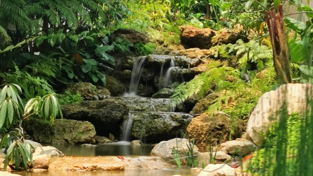 Photo of Outdoor in Chang Phueak