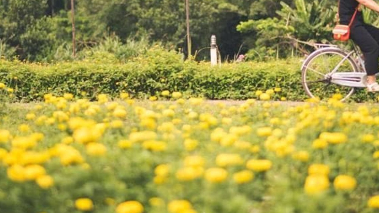 Photo of Outdoor in Samoeng