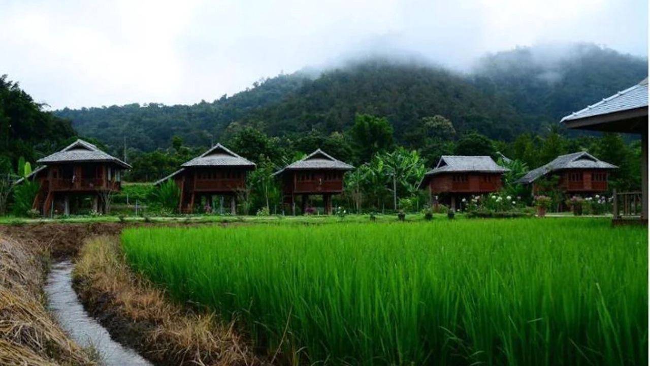 Photo of Outdoor in Samoeng