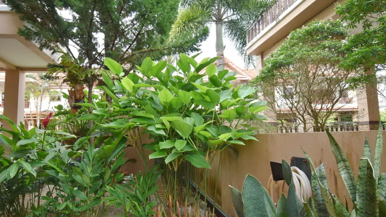Photo of Outdoor in Ban Khlong Haeng