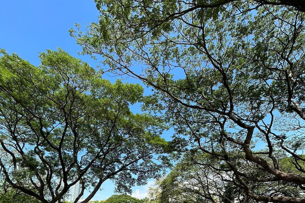 Photo of Outdoor in Nana