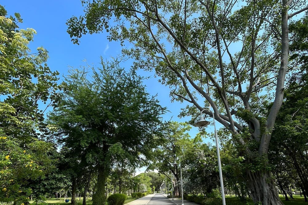 Photo of Outdoor in Nana