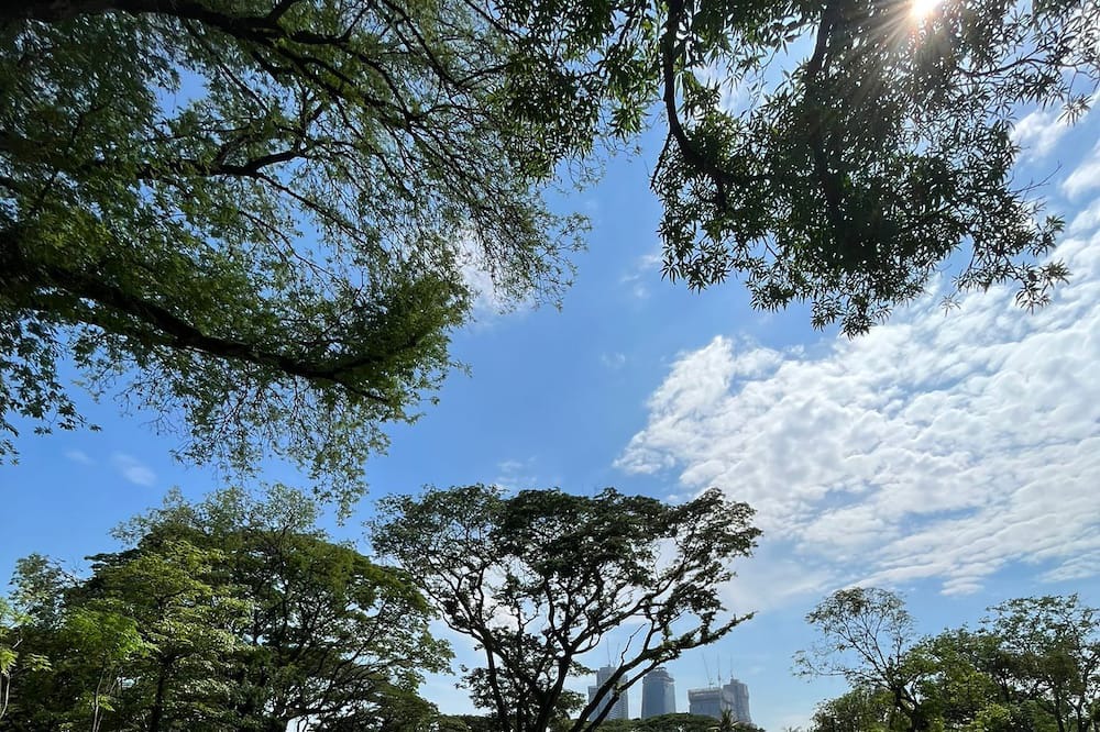 Photo of Outdoor in Nana