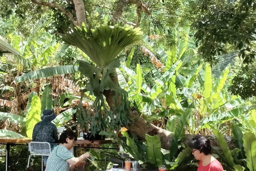 Photo of Outdoor in Mae Rim
