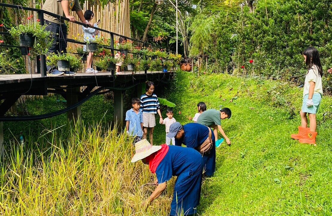 Photo of Outdoor in Khanong Phra