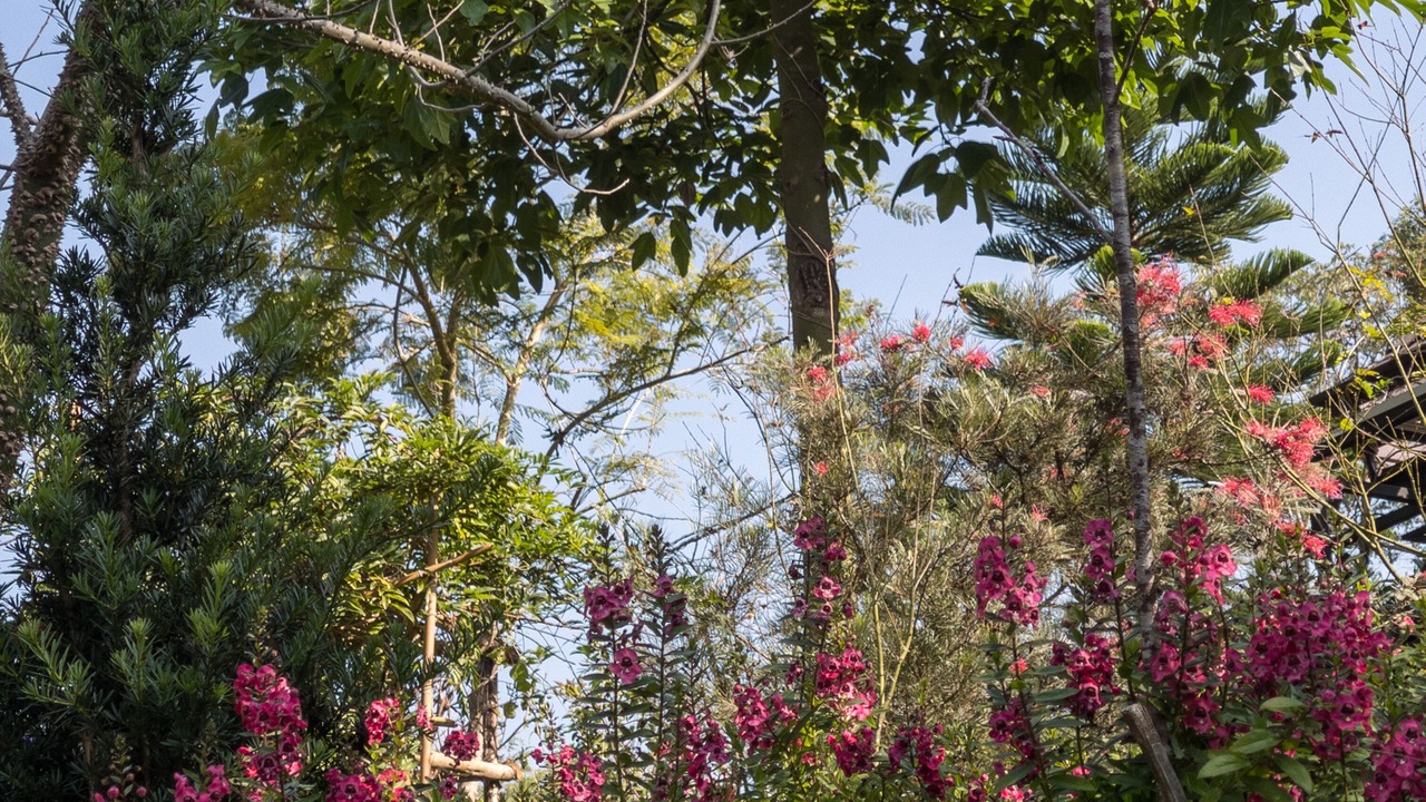 Photo of Outdoor in Pong Yaeng