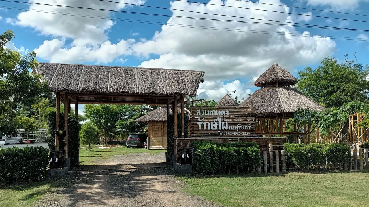 Photo of Outdoor in Surin