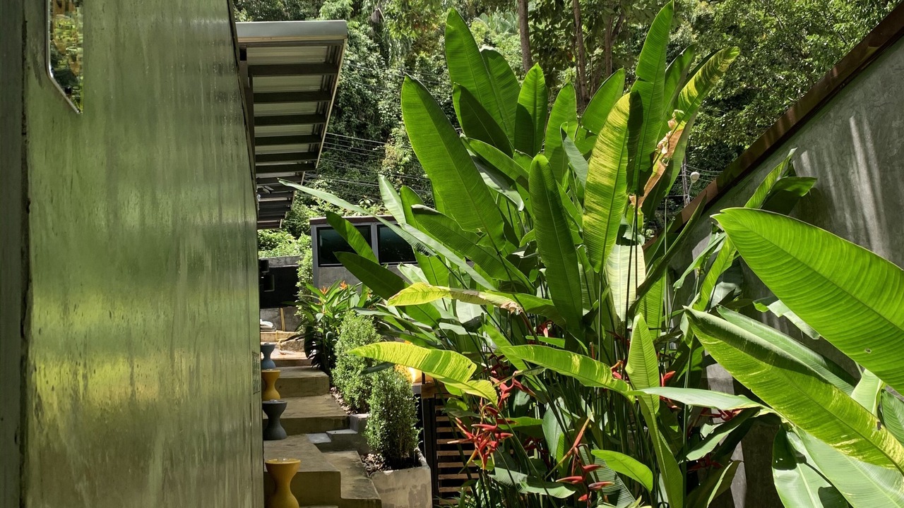Photo of Outdoor in Khong Koi Beach