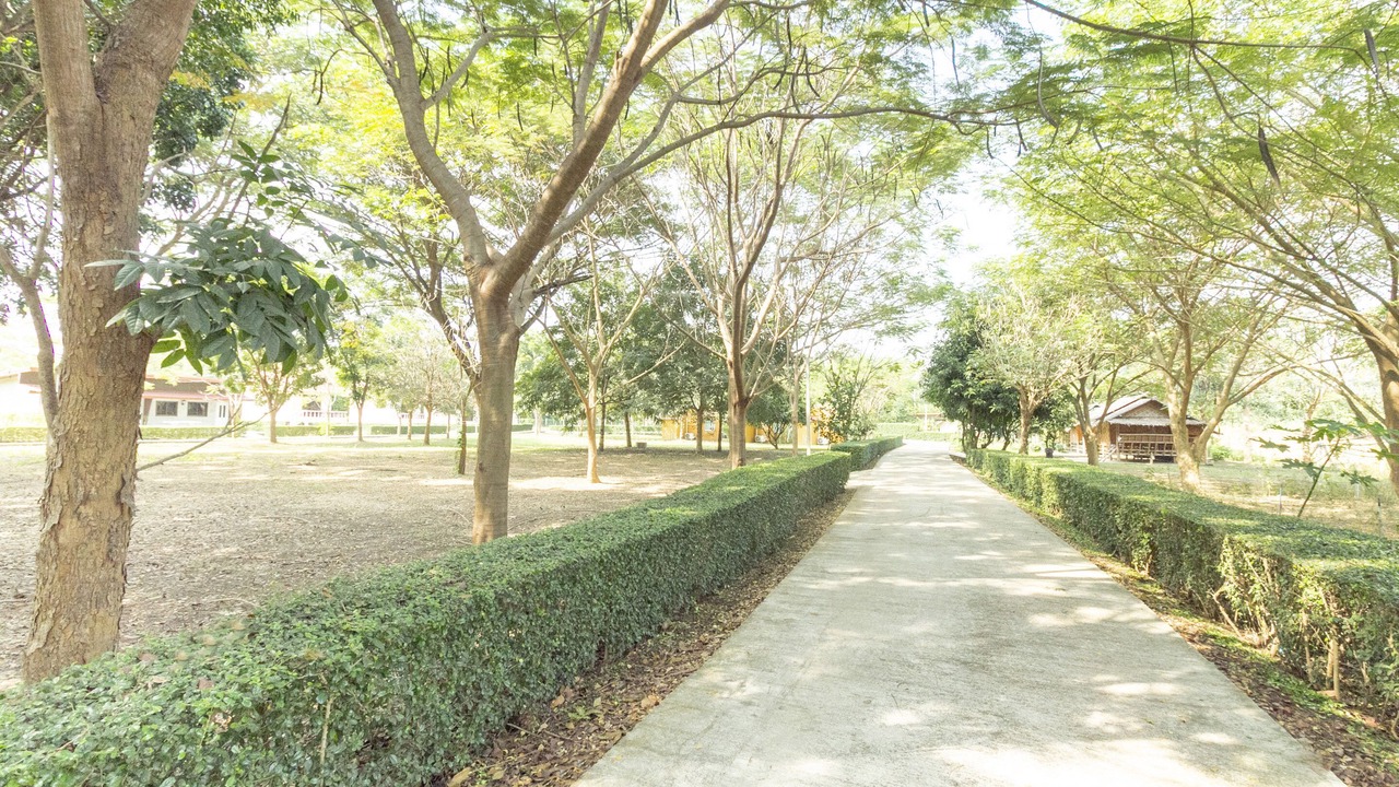Photo of Outdoor in Klon Do