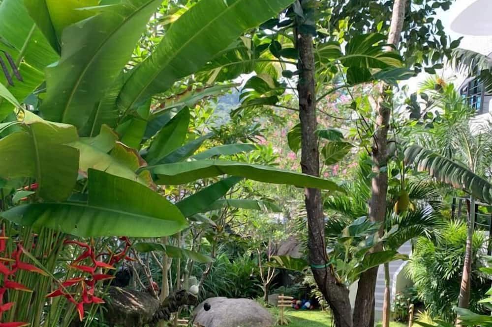 Photo of Outdoor in Lamai