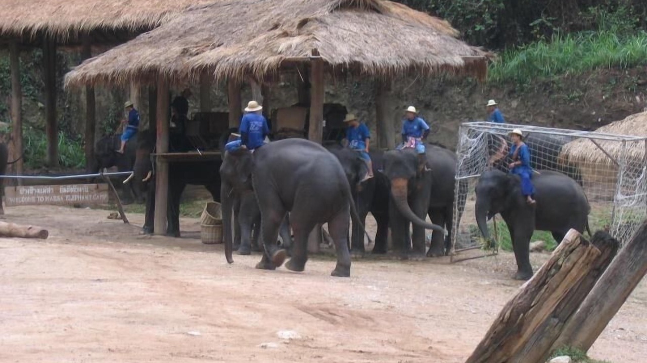 Photo of Others in Mae Rim