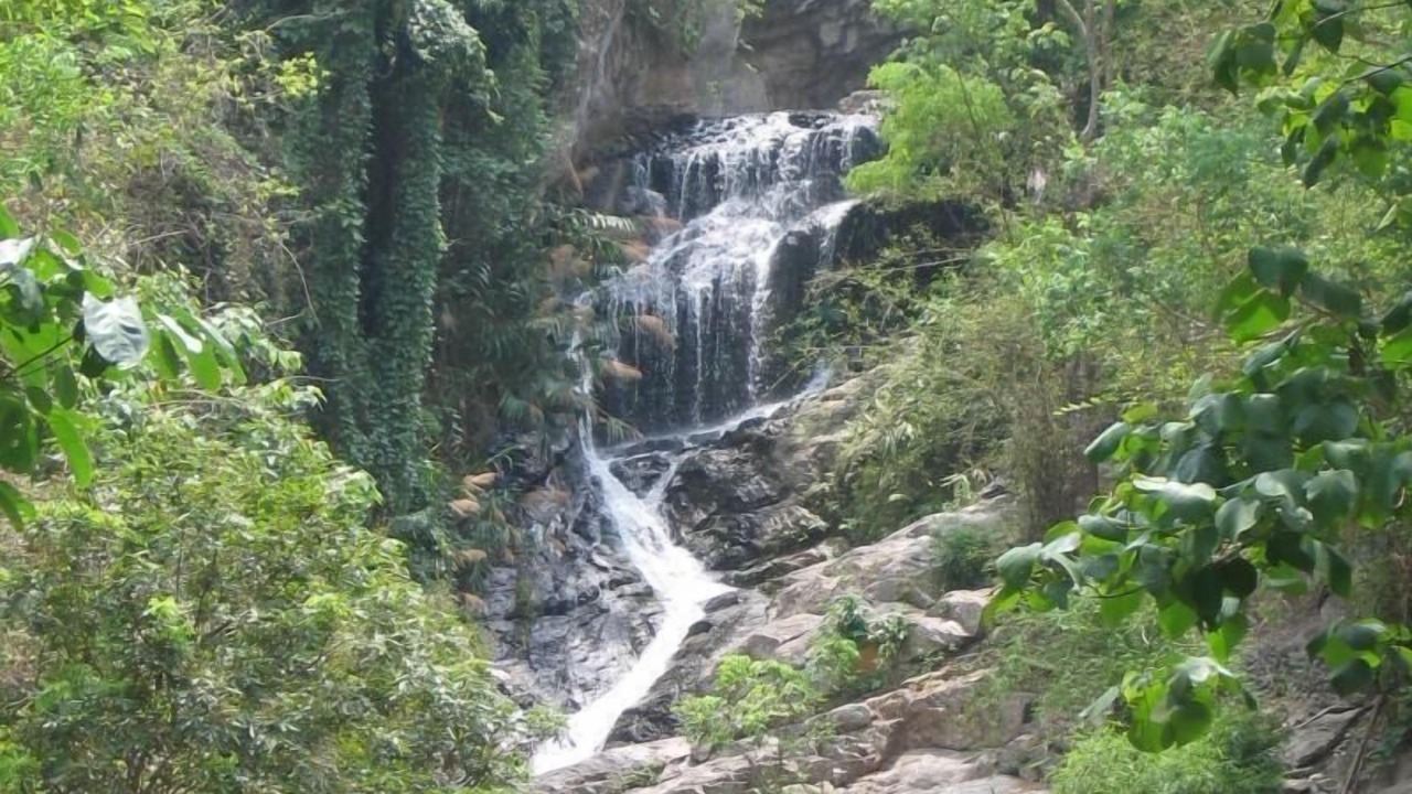 Photo of Others in Mae Rim