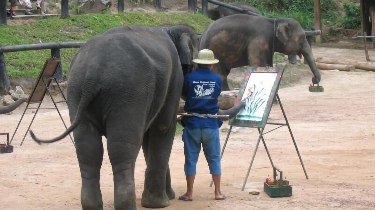 Photo of Others in Mae Rim